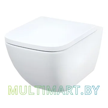 Унитаз IDDIS Torr TORRDSEi25